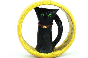 Black Cat in a Ring